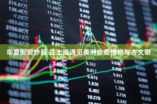 华夏配资炒股 在上海遇见美洲珍奇植物与古文明